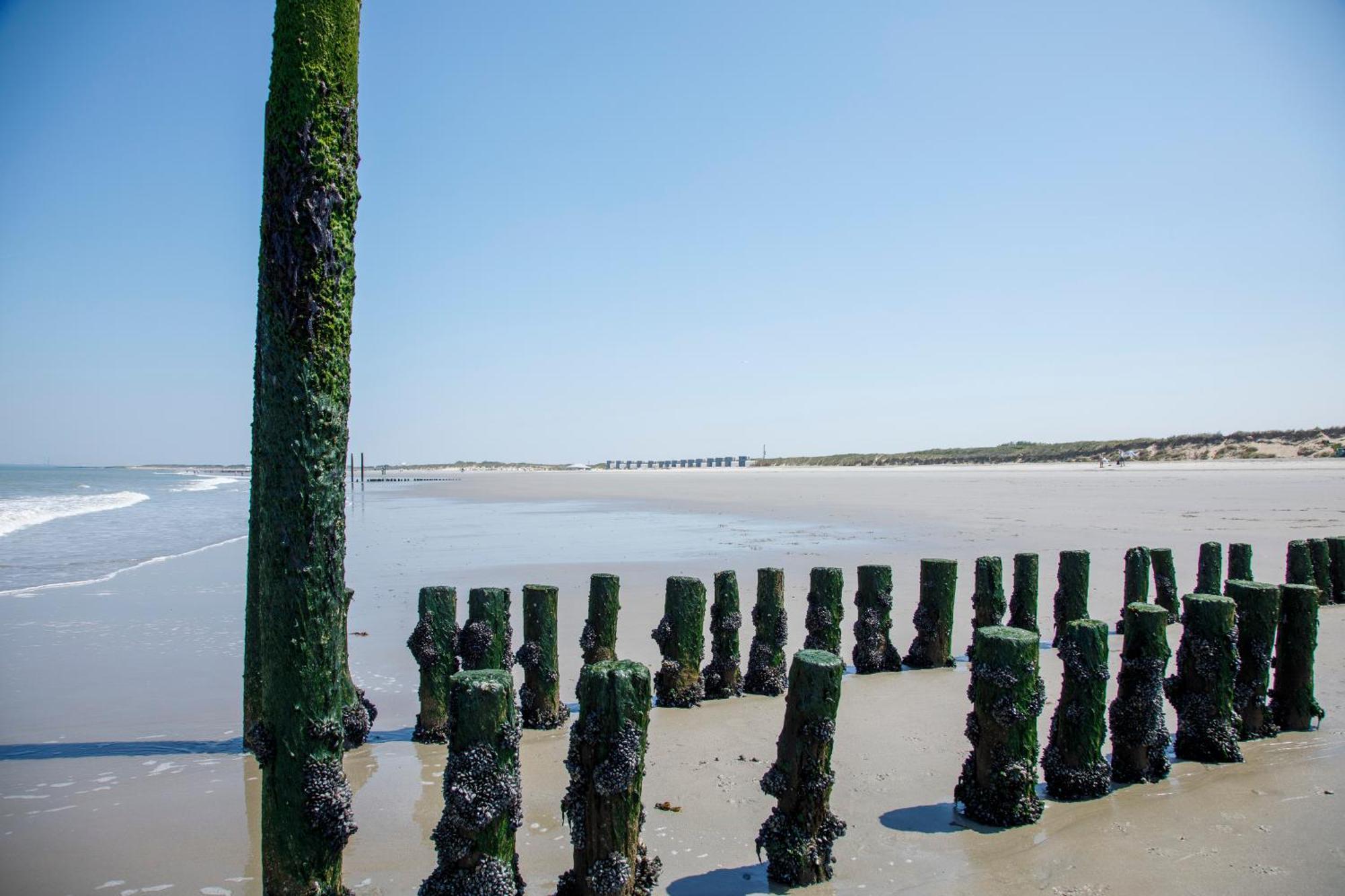 Zonneweelde, Vakantie Aan Zee Nieuwvliet Extérieur photo